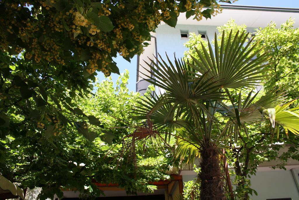 Hotel Villa Dei Gerani Rimini Eksteriør bilde